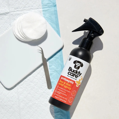 Antyseptyczny spray na pchły i kleszcze dla zwierząt 200ml - Buddycare
