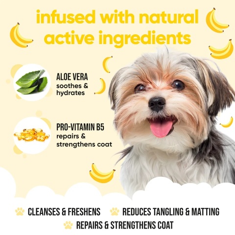 Szampon dla psów - bananowy - 500 ml - Buddycare